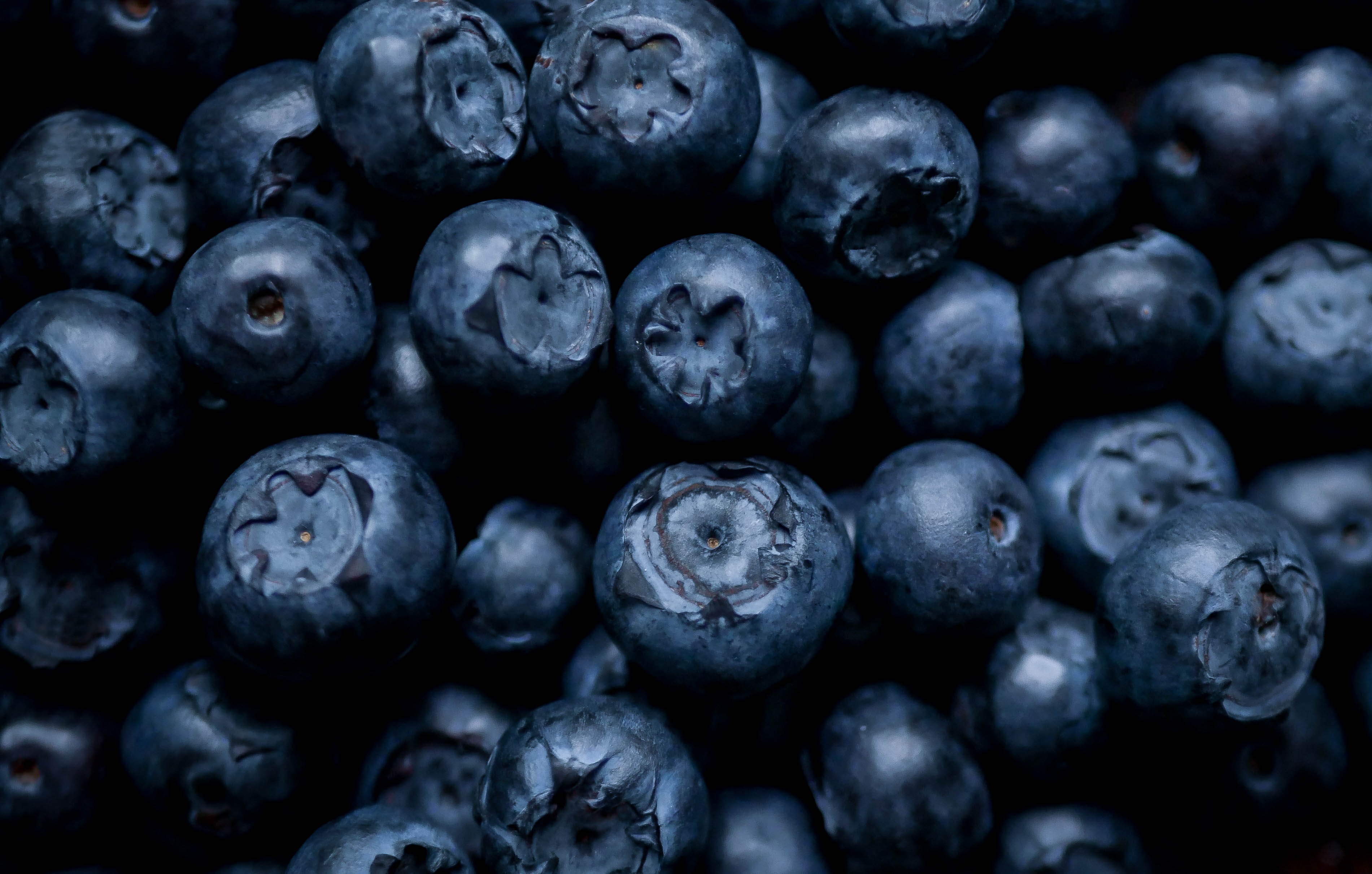 blueberries